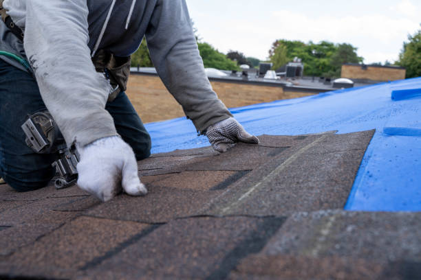 Best Local Roofing Companies  in Laurium, MI