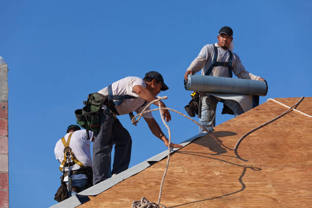 Best Sealant for Roof  in Laurium, MI