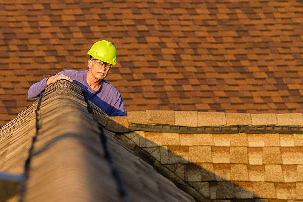 Best Roof Gutter Cleaning  in Laurium, MI